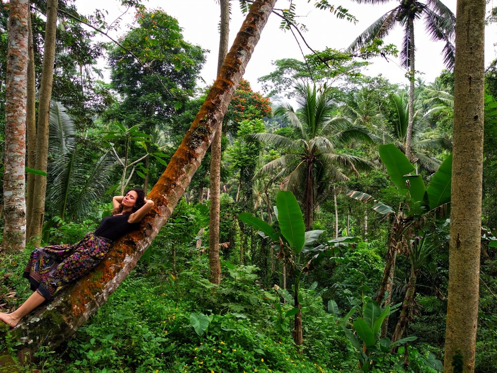 La naturaleza del Monte Kawi, LOS 9 TEMPLOS DE BALI QUE NO TE PUEDES PERDER
