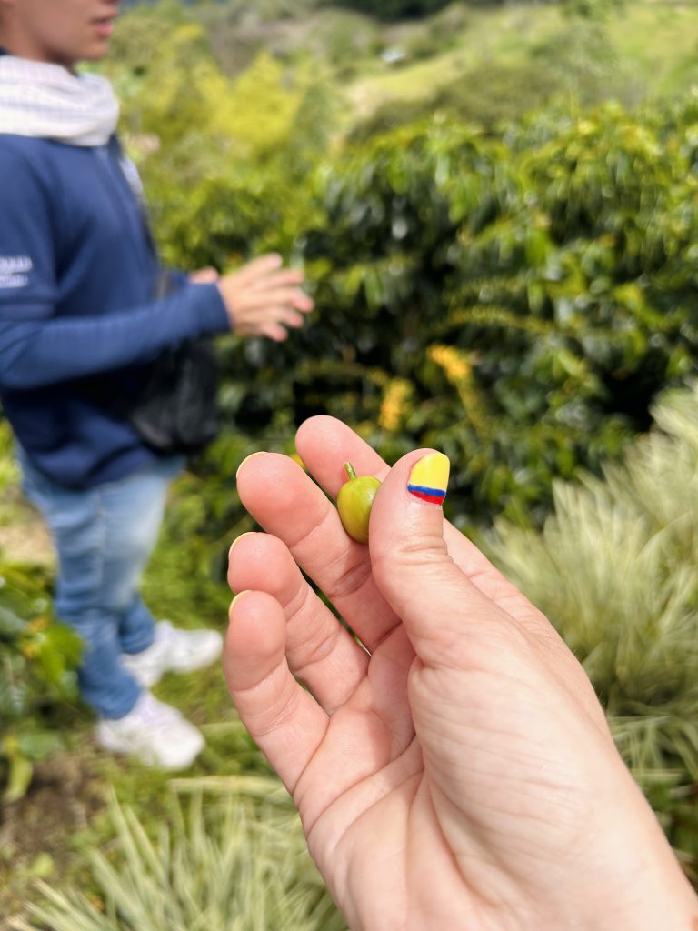 finca cafetera, el eje cafetero en coche