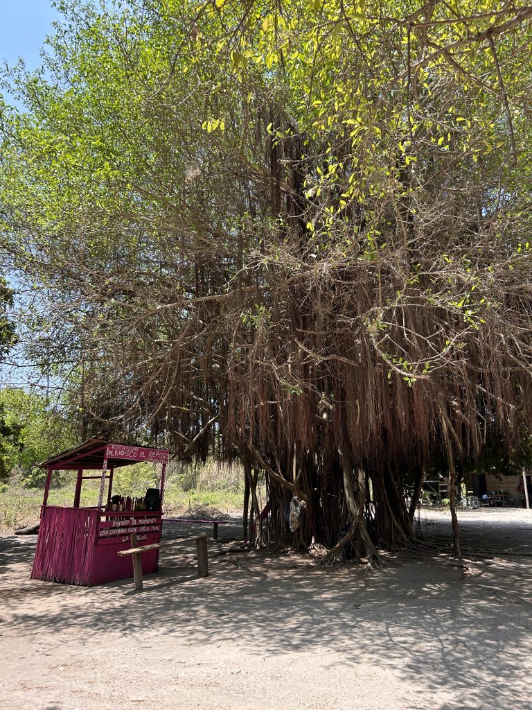 Isla Grande, qué ver en islas del rosario
