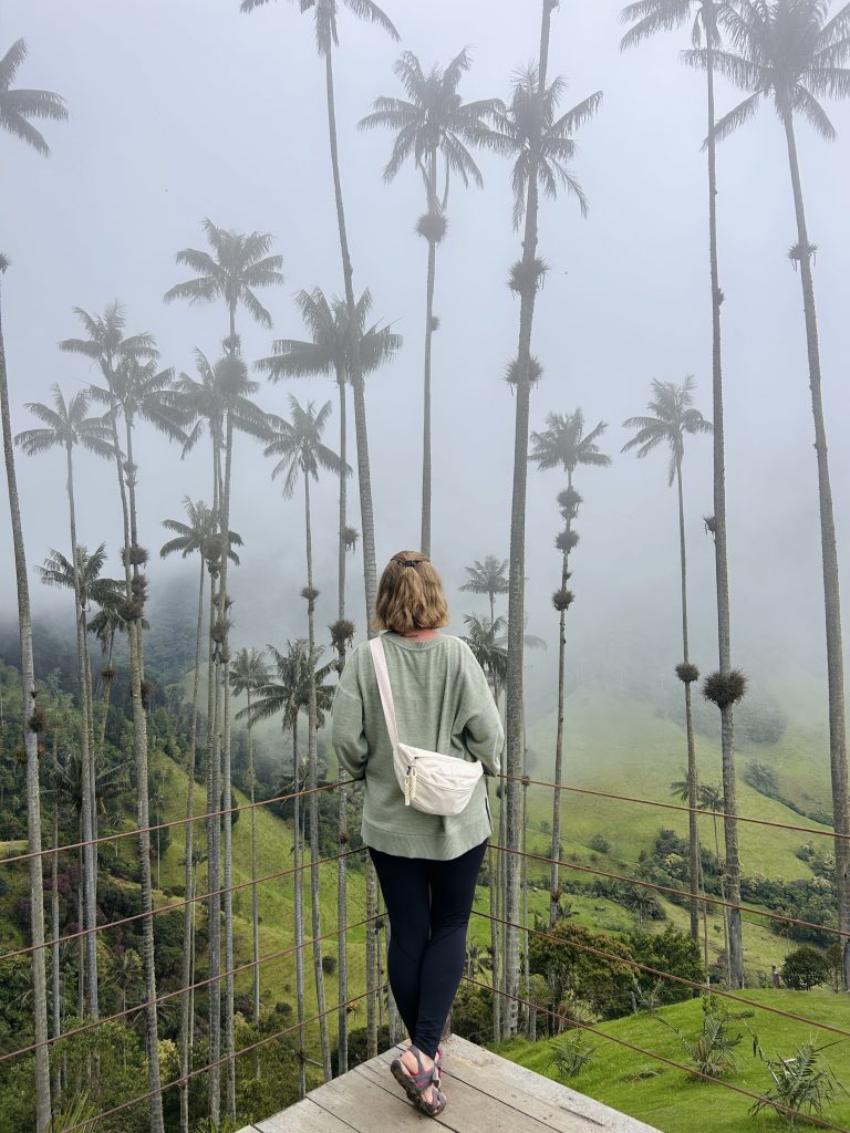 cocora, 15 días por Colombia